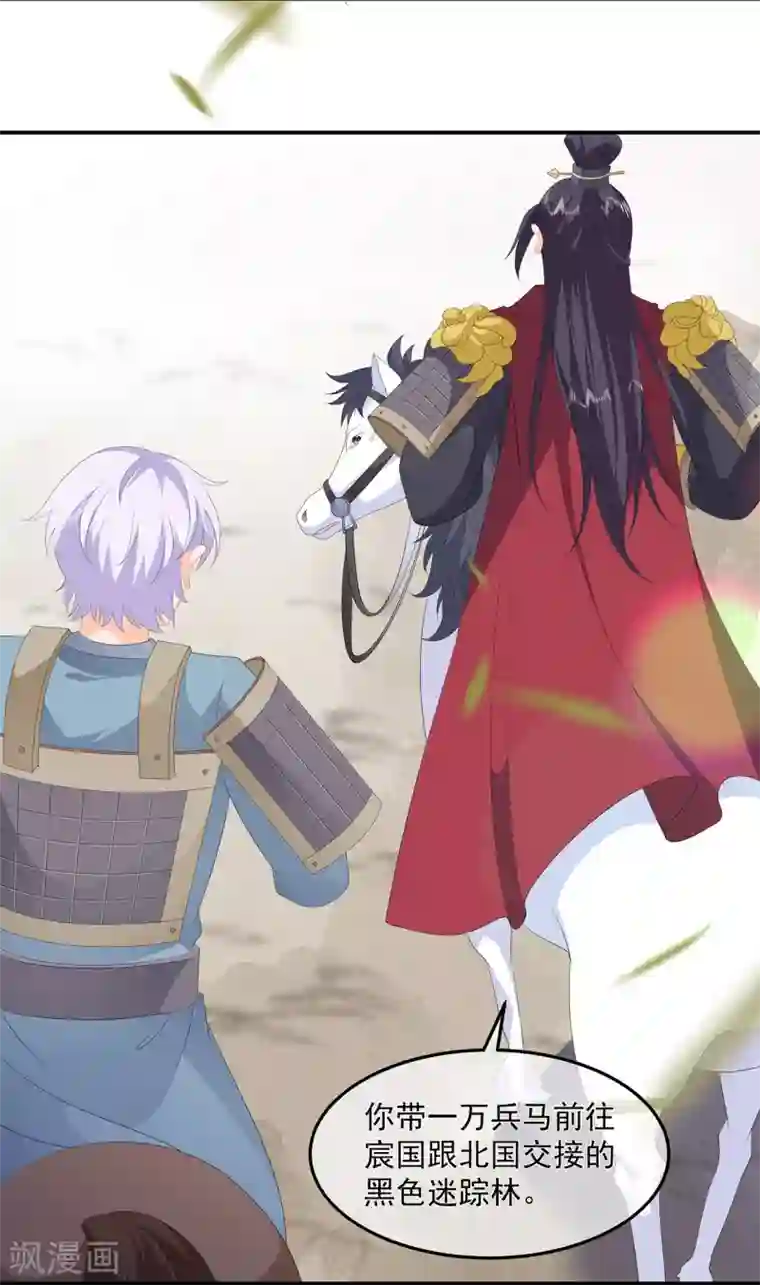 狐妃,别惹我第81话 无用之人有诡计