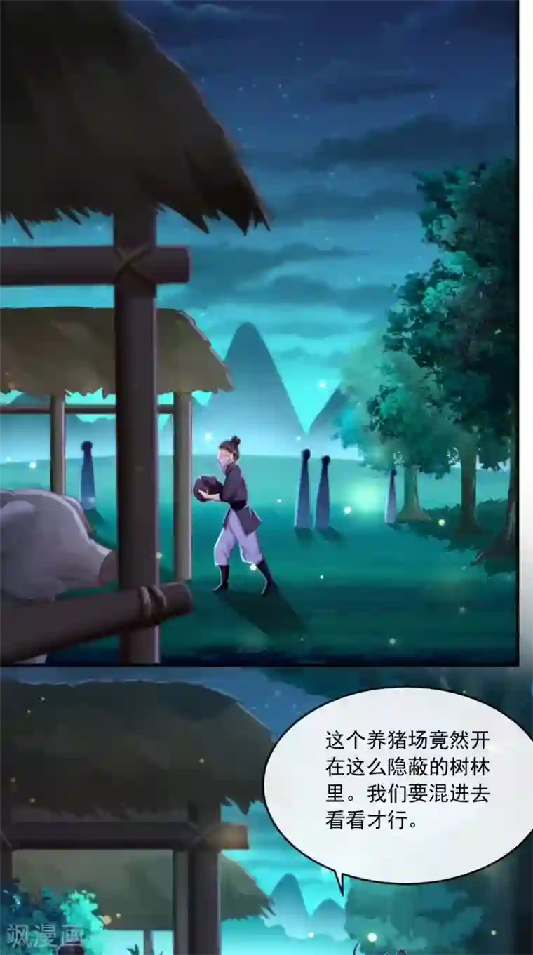 痴傻毒妃不好惹第94话 秘密武器