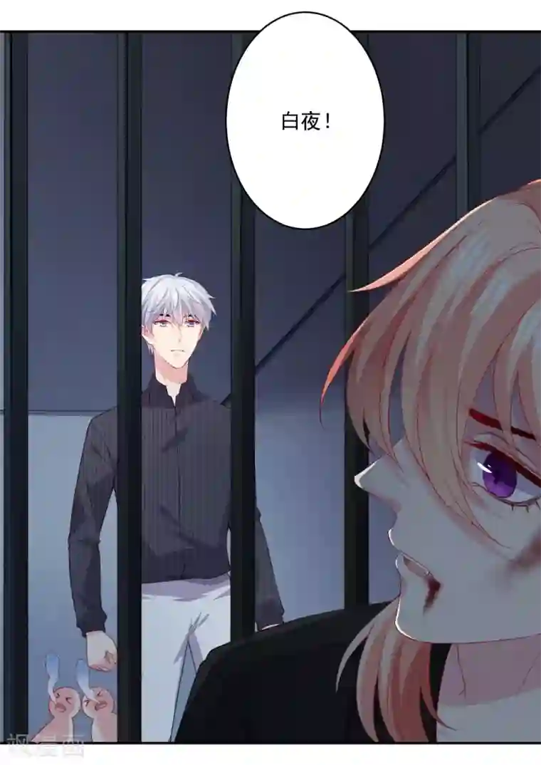 明星是血族第250话 带着崽崽闯血宴