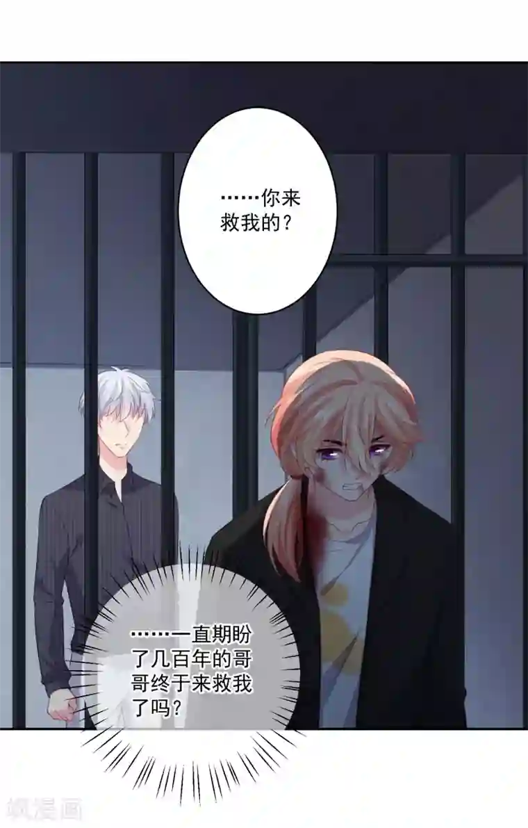 明星是血族第250话 带着崽崽闯血宴