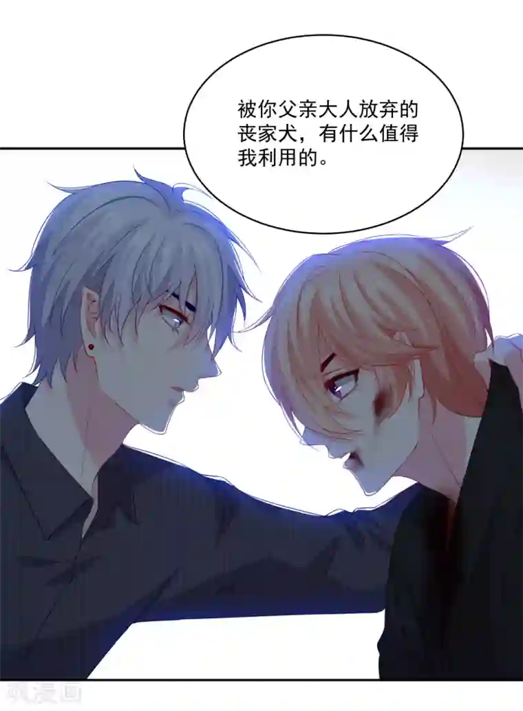 明星是血族第250话 带着崽崽闯血宴