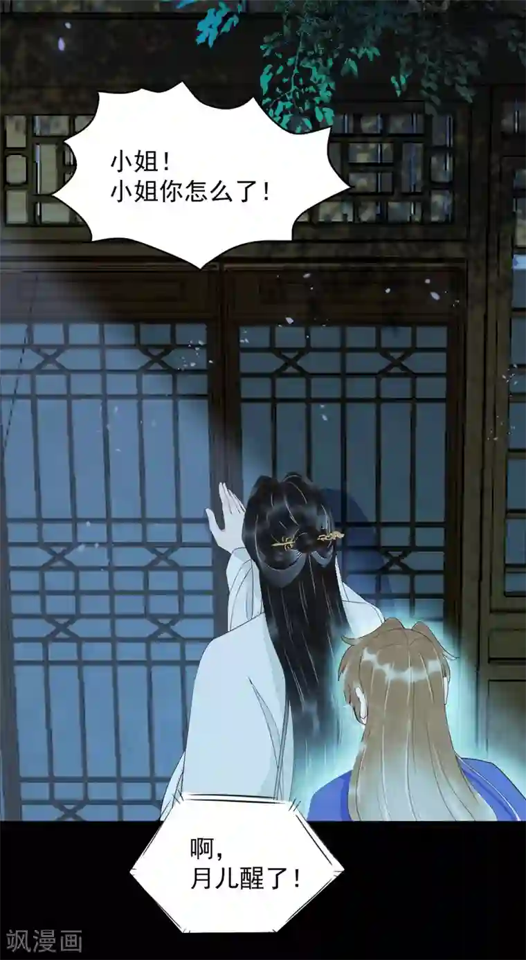杀手王妃不好惹第20话 苏醒