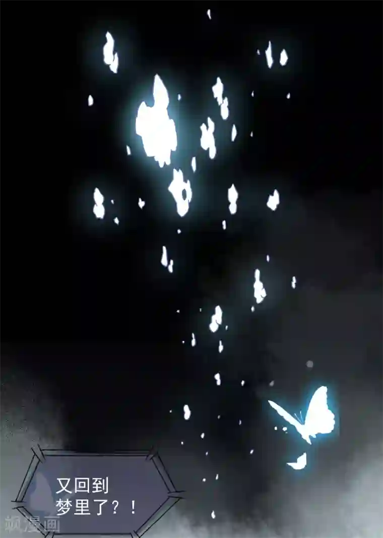 杀手王妃不好惹第20话 苏醒