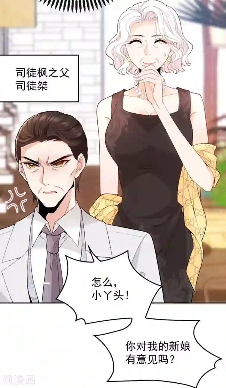 惹上妖孽冷殿下第15话 司徒家族