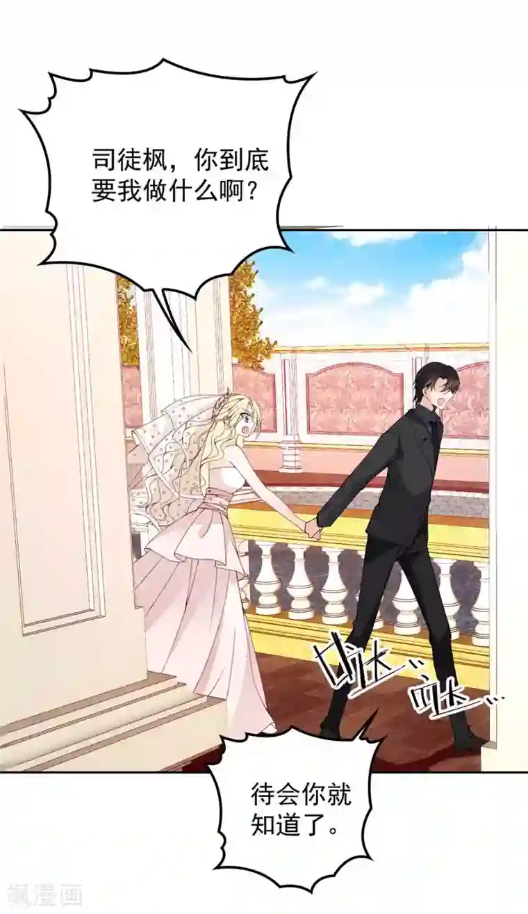 惹上妖孽冷殿下第15话 司徒家族