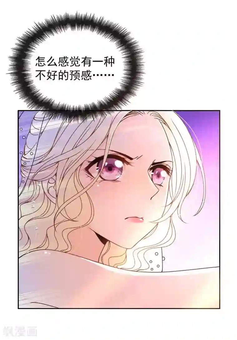 惹上妖孽冷殿下第15话 司徒家族