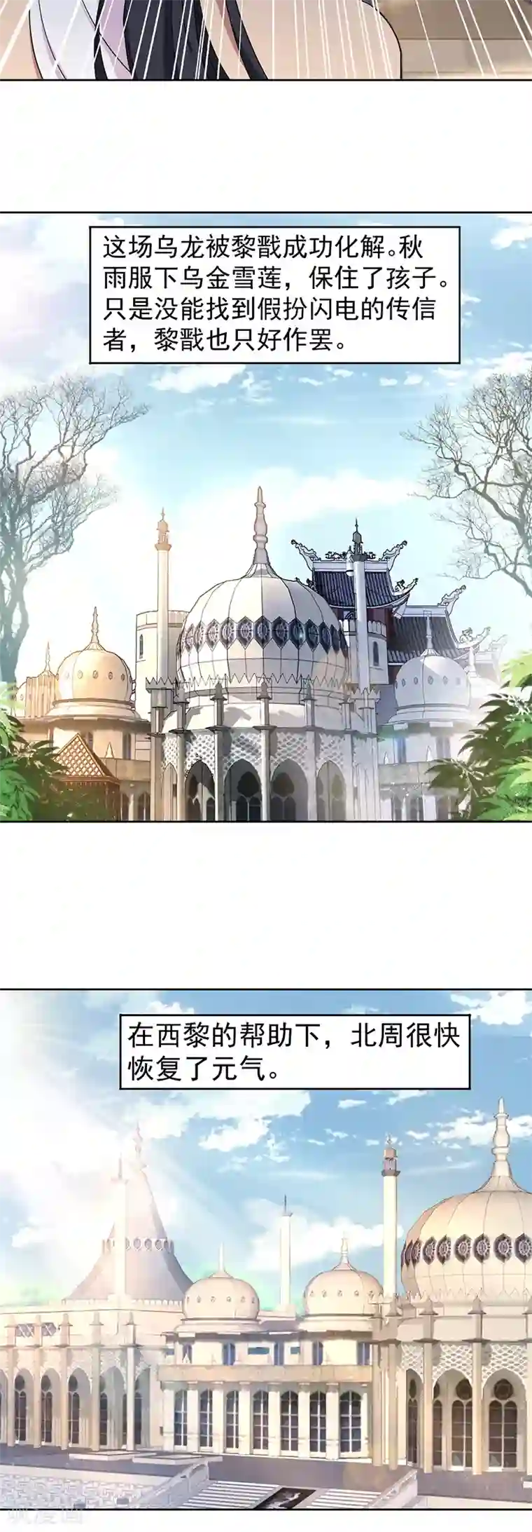 狂女重生：纨绔七皇妃第254话 十全大补粥