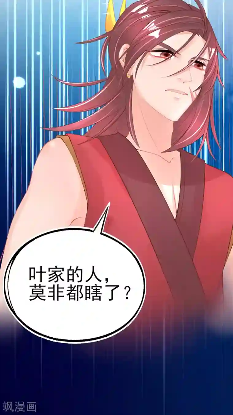 本王妃神藤在手第47话 佣兵团报恩