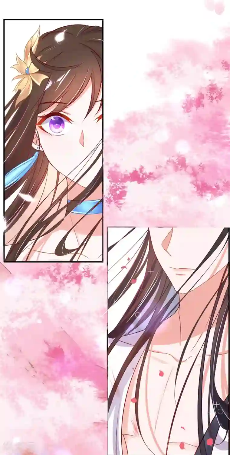 王妃的修仙指南第25话 偶遇美男