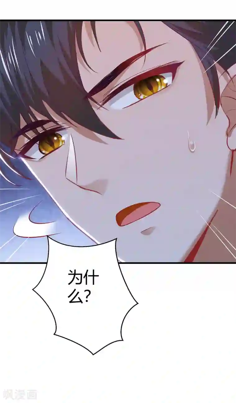 纯情陆少第195话 宗少争宠