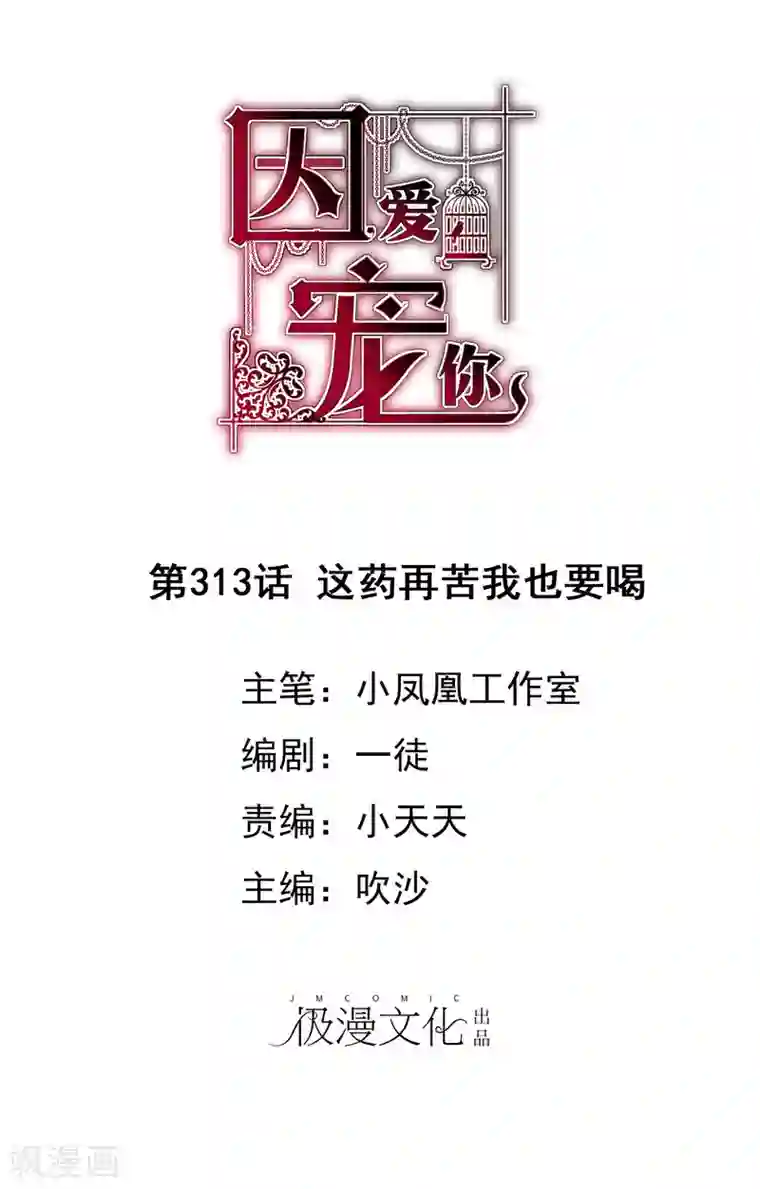 因爱宠你第313话