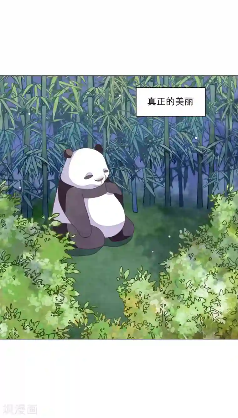 穿回古代做国宝第138话 就决定是你了！