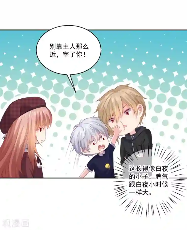 明星是血族第251话 王位轮不到你