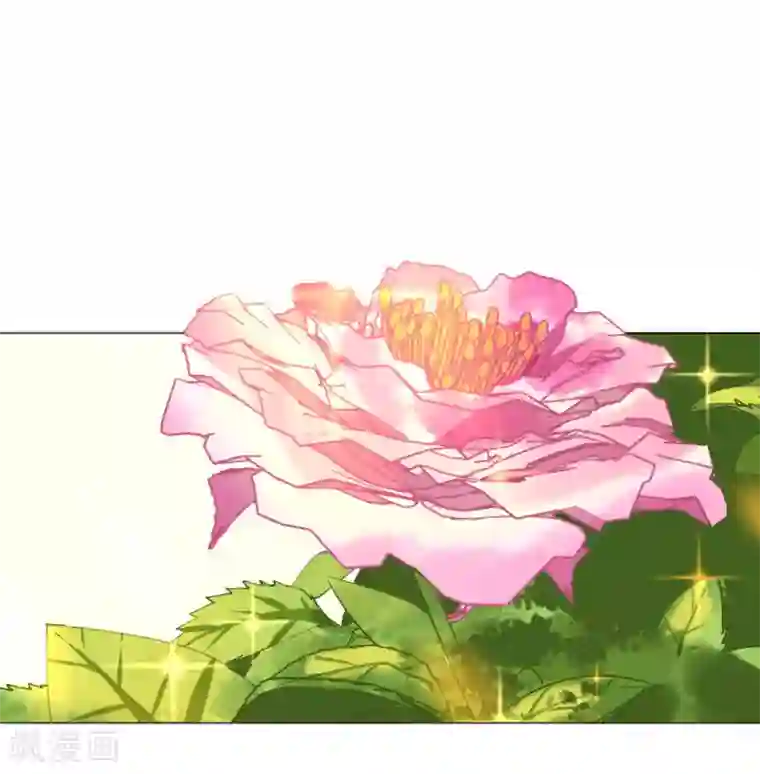 机长大人暖暖爱第121话 沙漠蔷薇