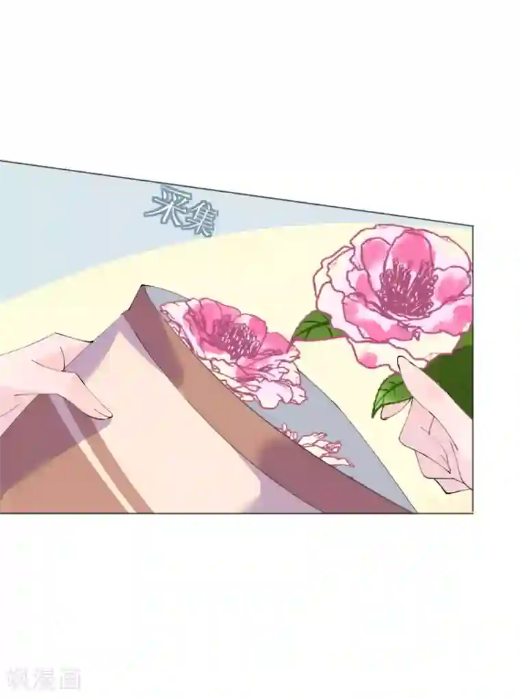 机长大人暖暖爱第121话 沙漠蔷薇