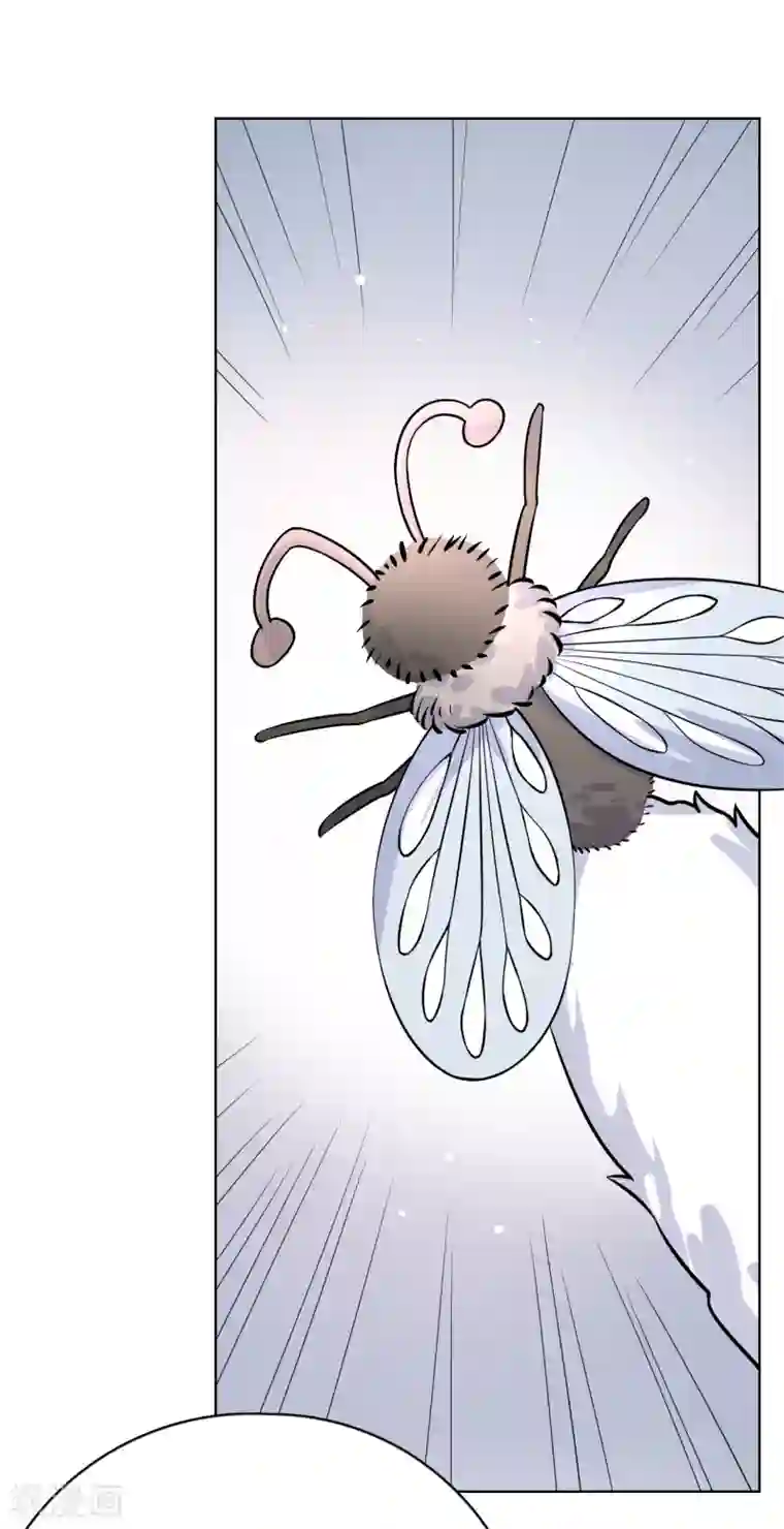 Take Me Out第26话 身后的危险