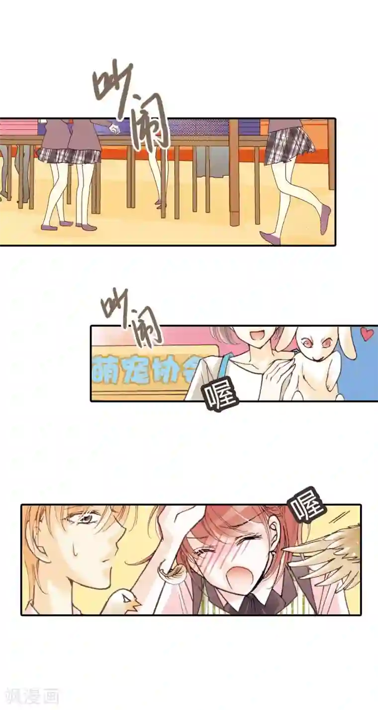 灰姑娘进化论第17话