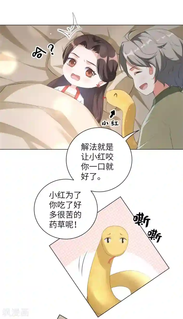 王妃有毒第84话 天才少年云天青
