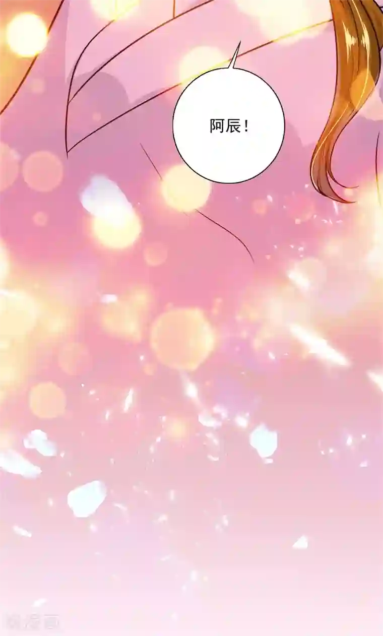 豪门天价前妻番外 迎接新生命