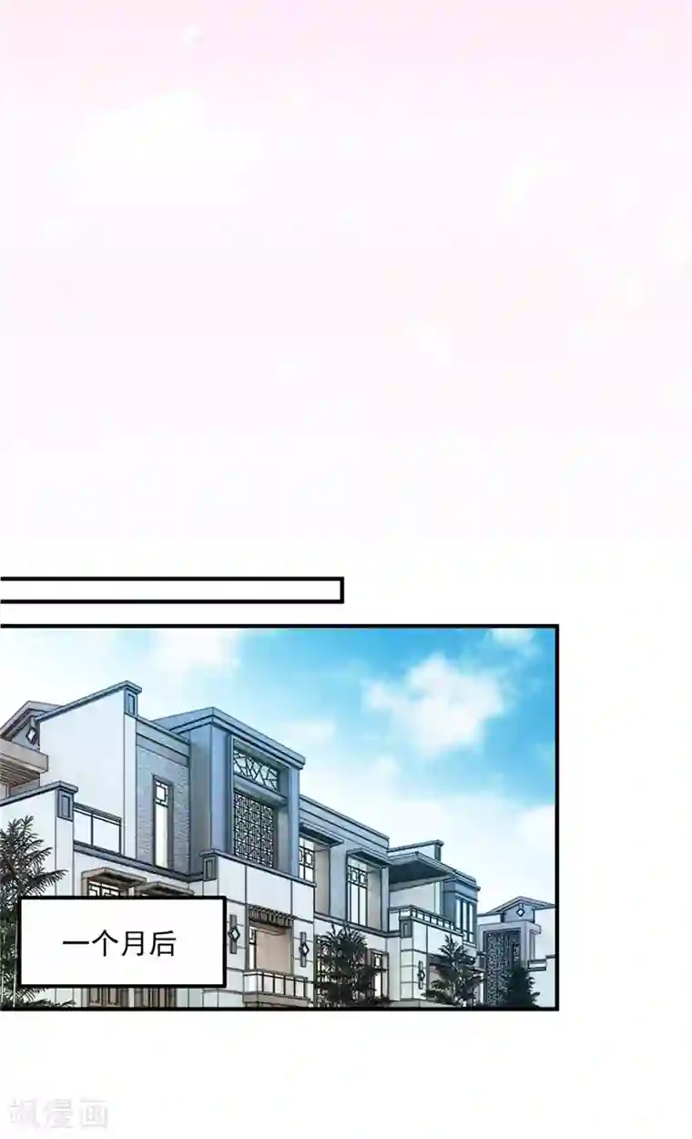 豪门天价前妻番外 迎接新生命