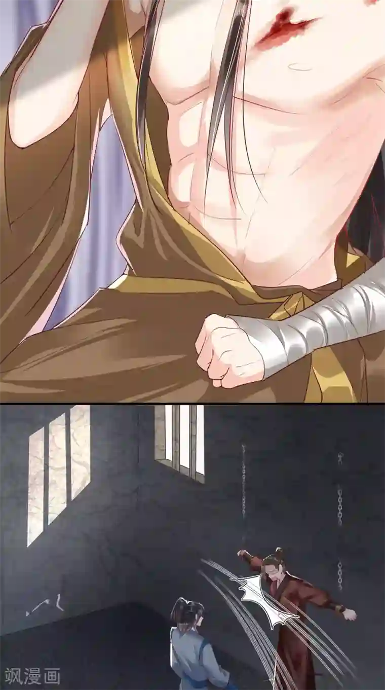 痴傻毒妃不好惹第97话 恐有不测