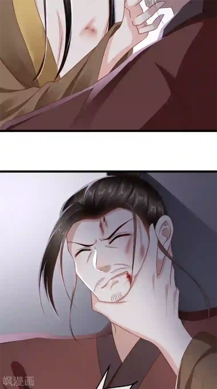 痴傻毒妃不好惹第97话 恐有不测