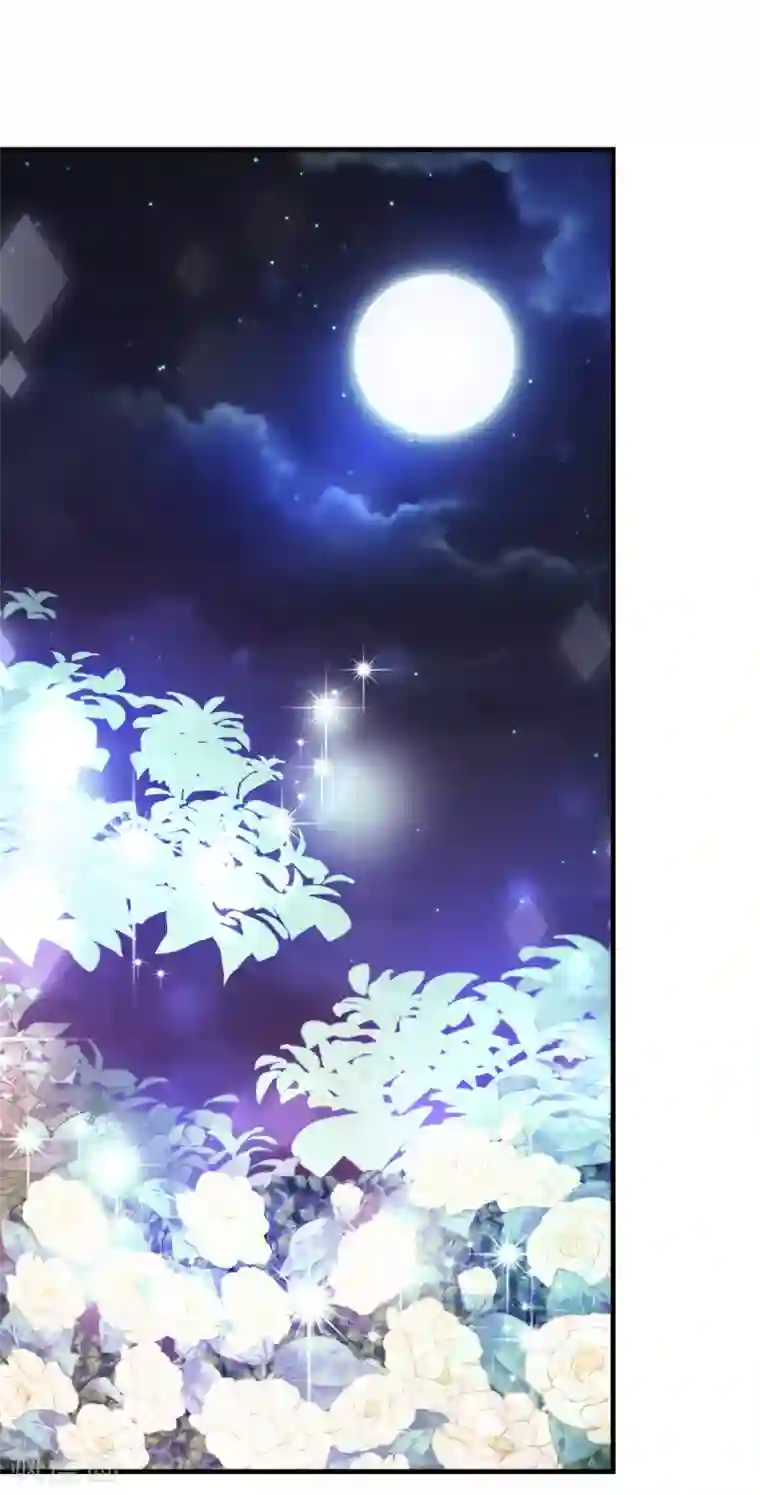 本婿修的是贱道第41话 洞房