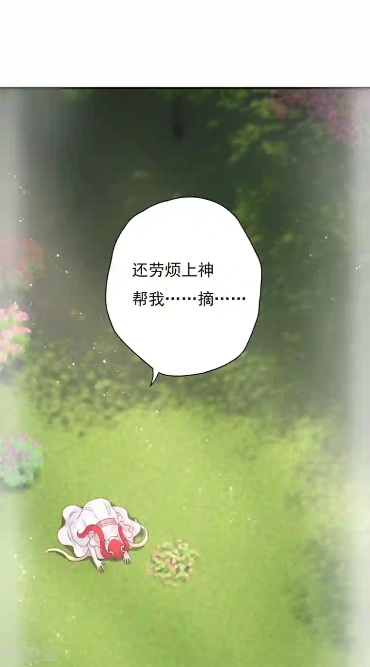 冷邪冥王的心尖宠第7话 女皇的初恋