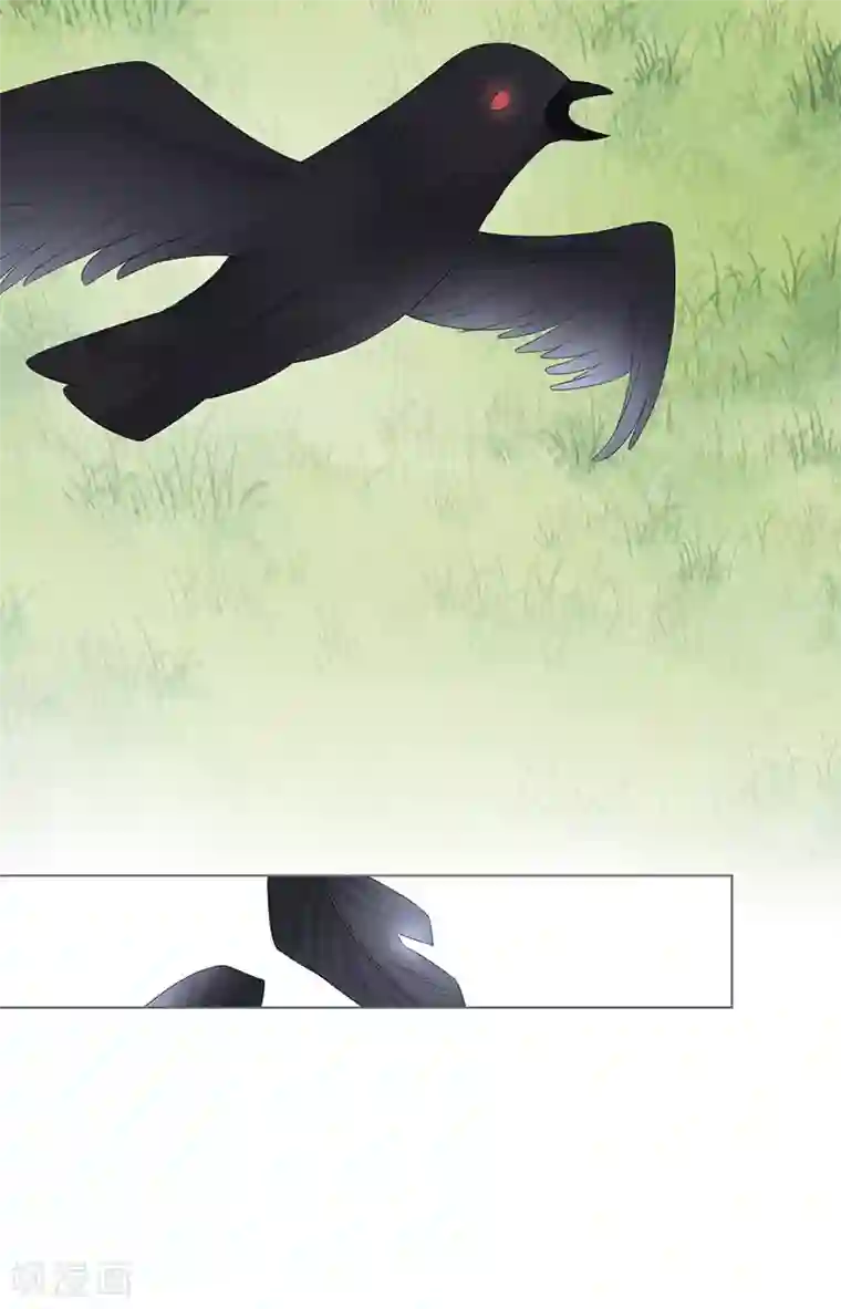 许你一场繁花似锦第19话 要你另一颗肾