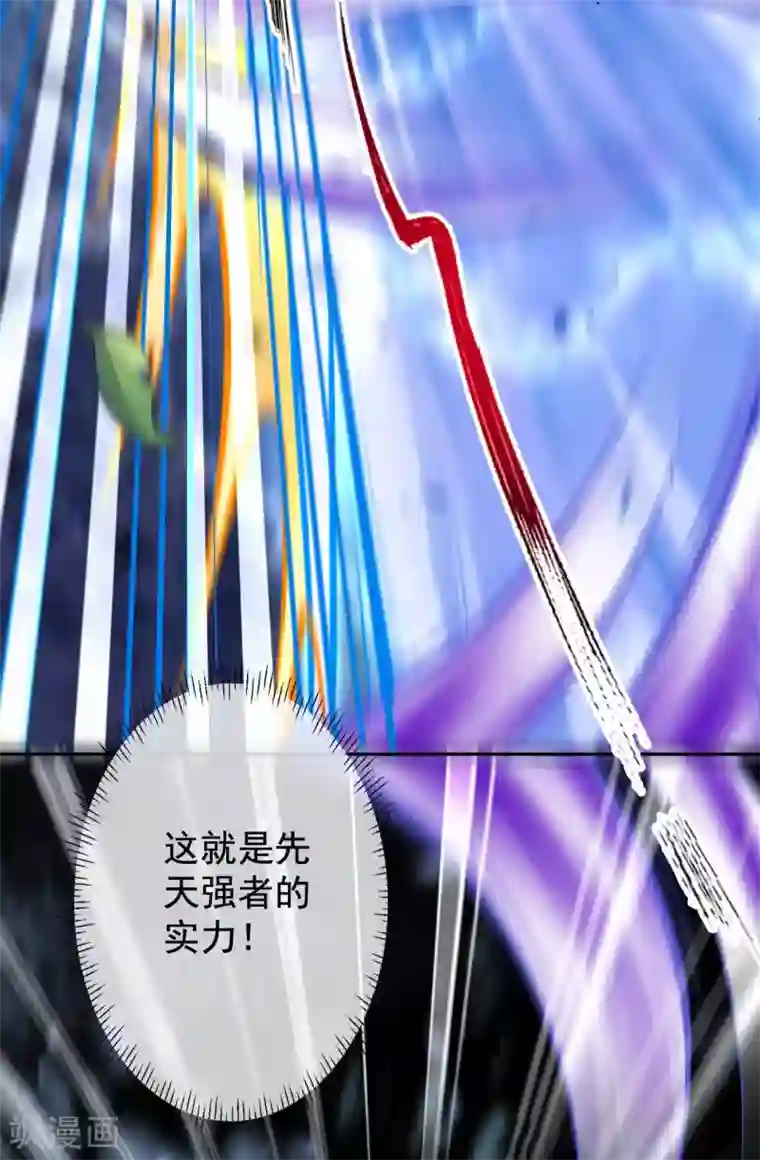 无敌剑域第17话 先天强者