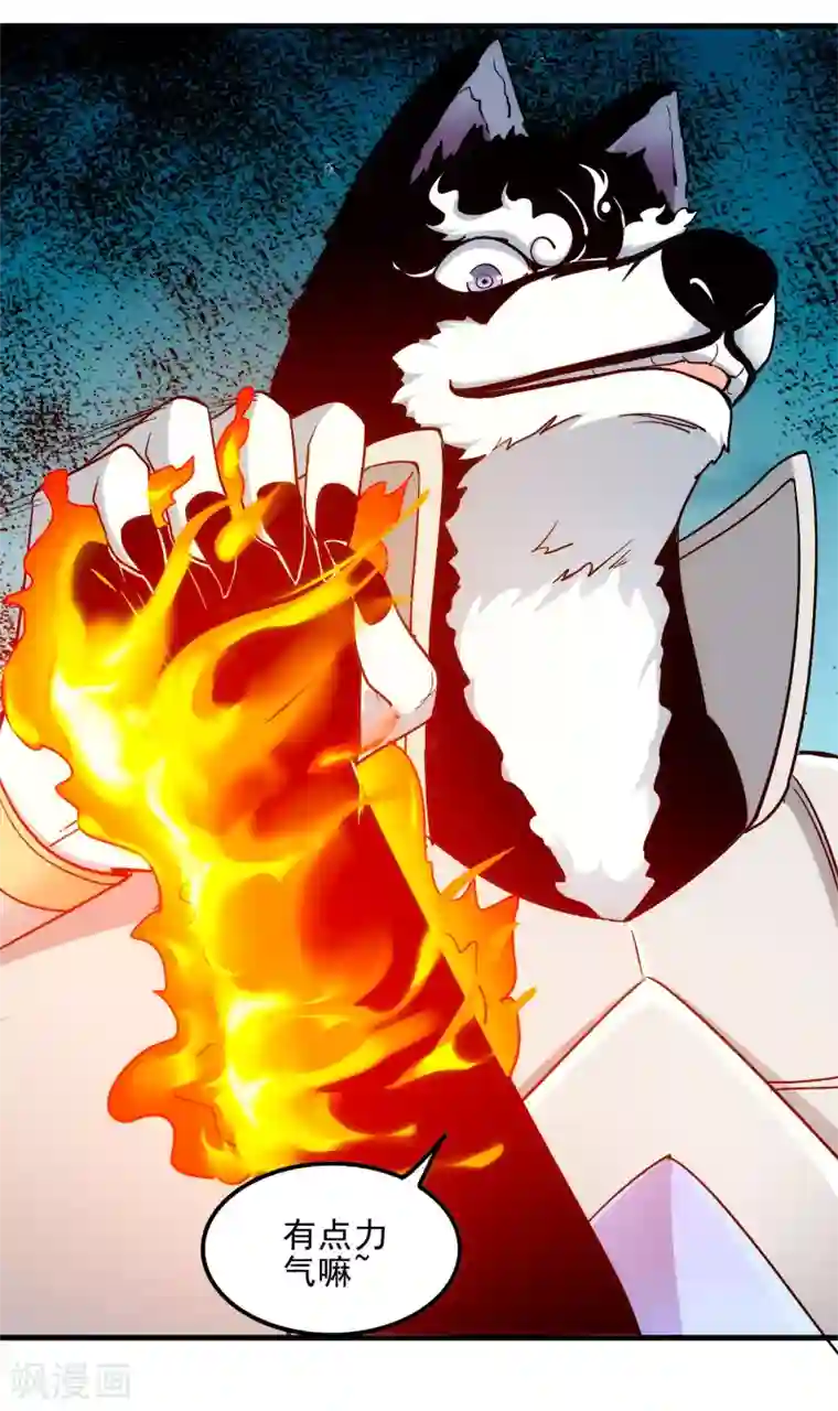 妖灵救火队第4话 0号与1号