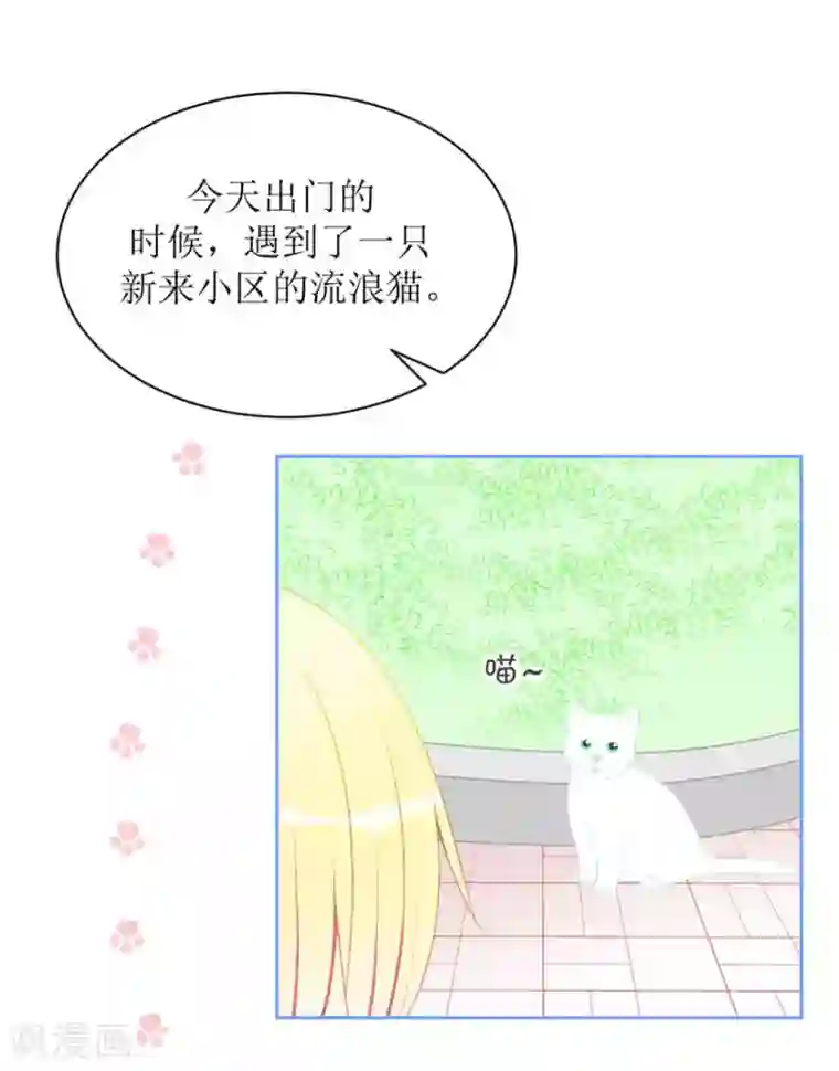 圈地自萌第4话 被盯上了