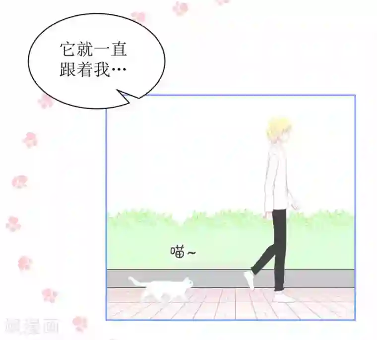 圈地自萌第4话 被盯上了