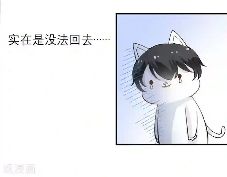 我的妹妹有毒第2话 这口黑锅你背定了