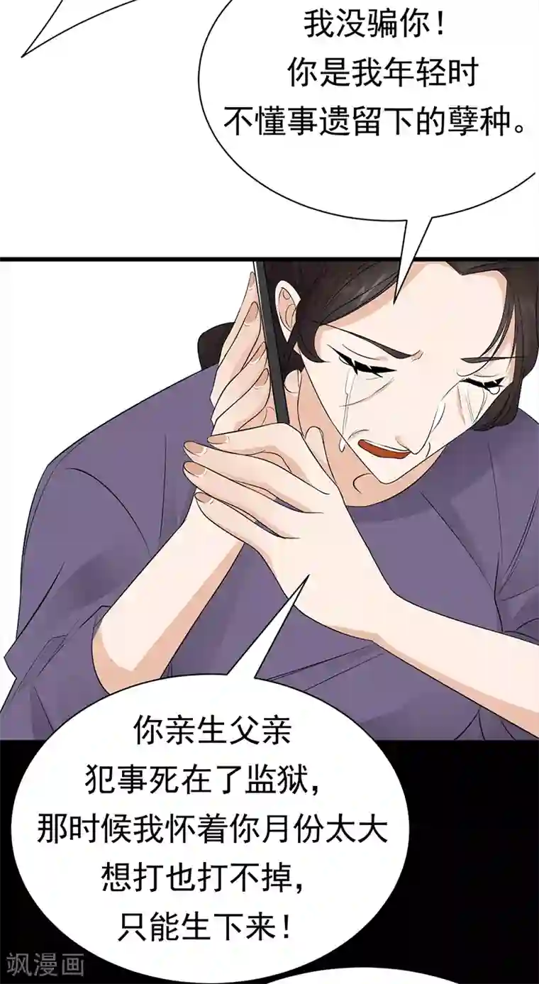 陆少的心尖宠第93话 血浓于水