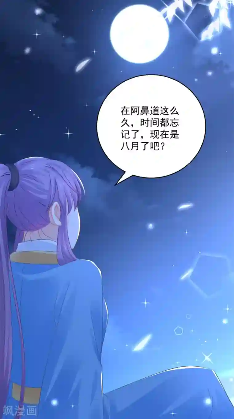 盛宠阴阳妃第88话 再见晏王