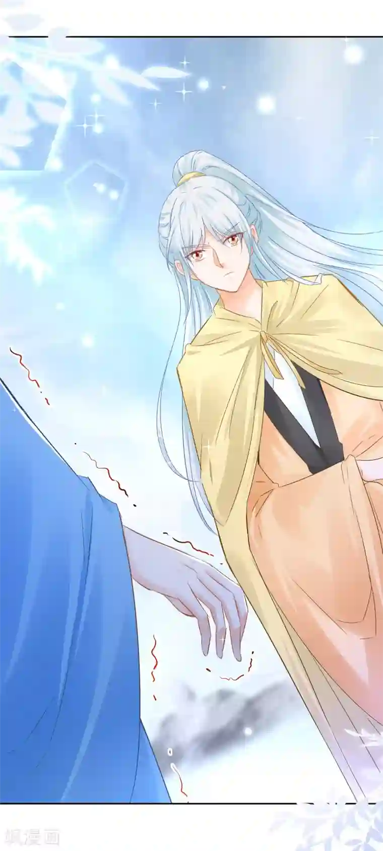 盛宠阴阳妃第88话 再见晏王