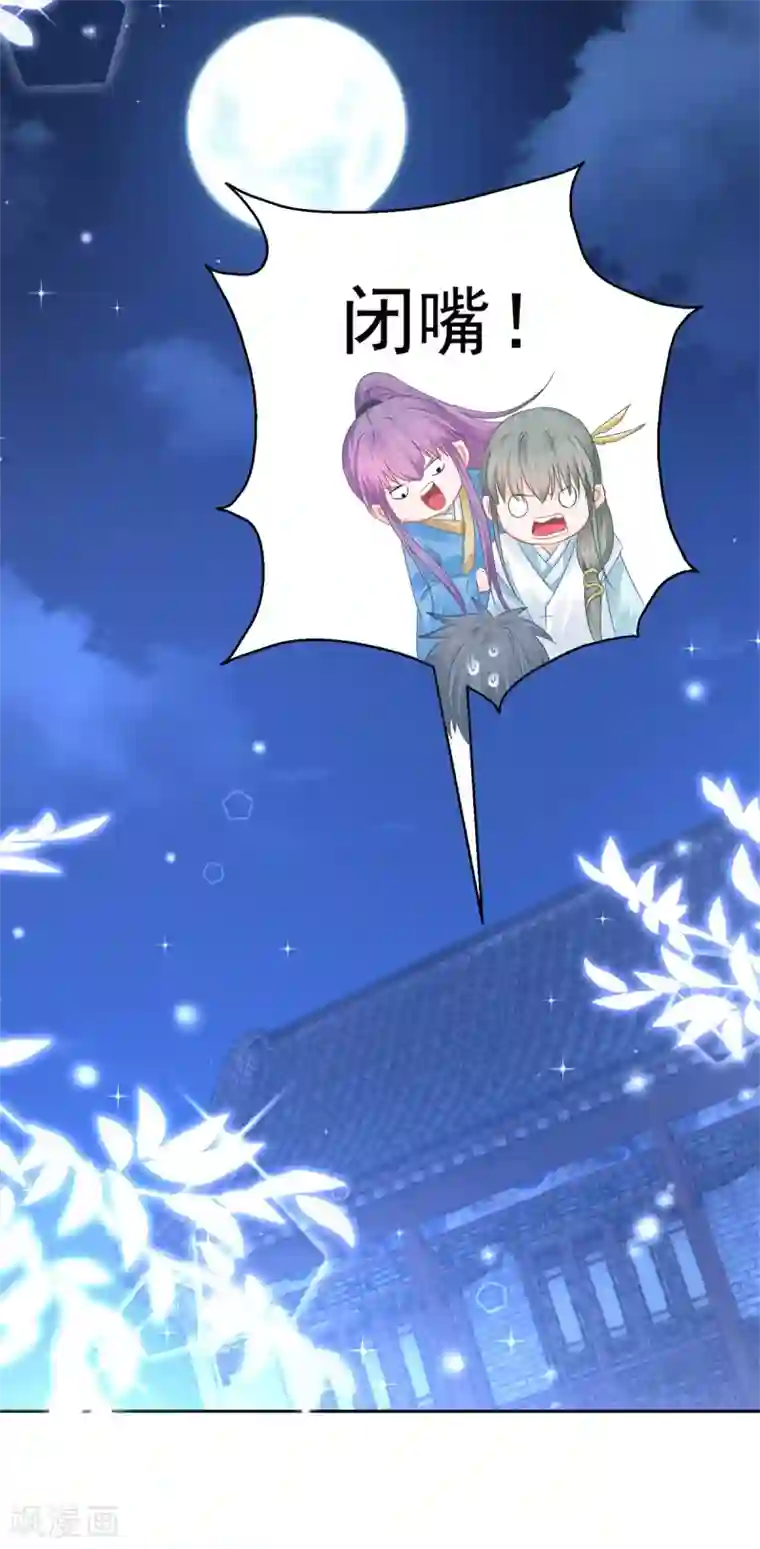 盛宠阴阳妃第88话 再见晏王