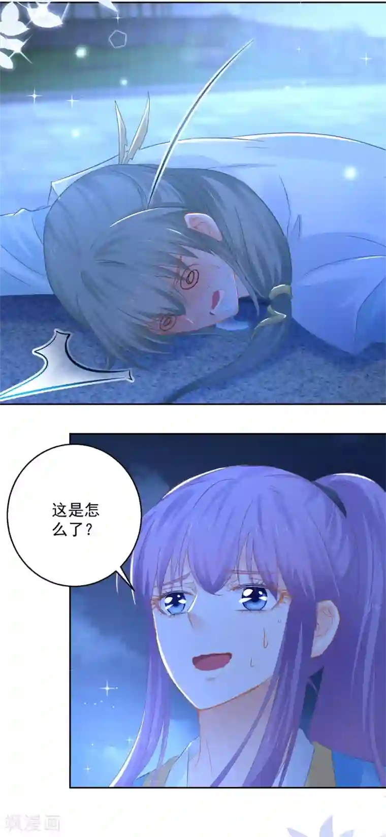 盛宠阴阳妃第88话 再见晏王