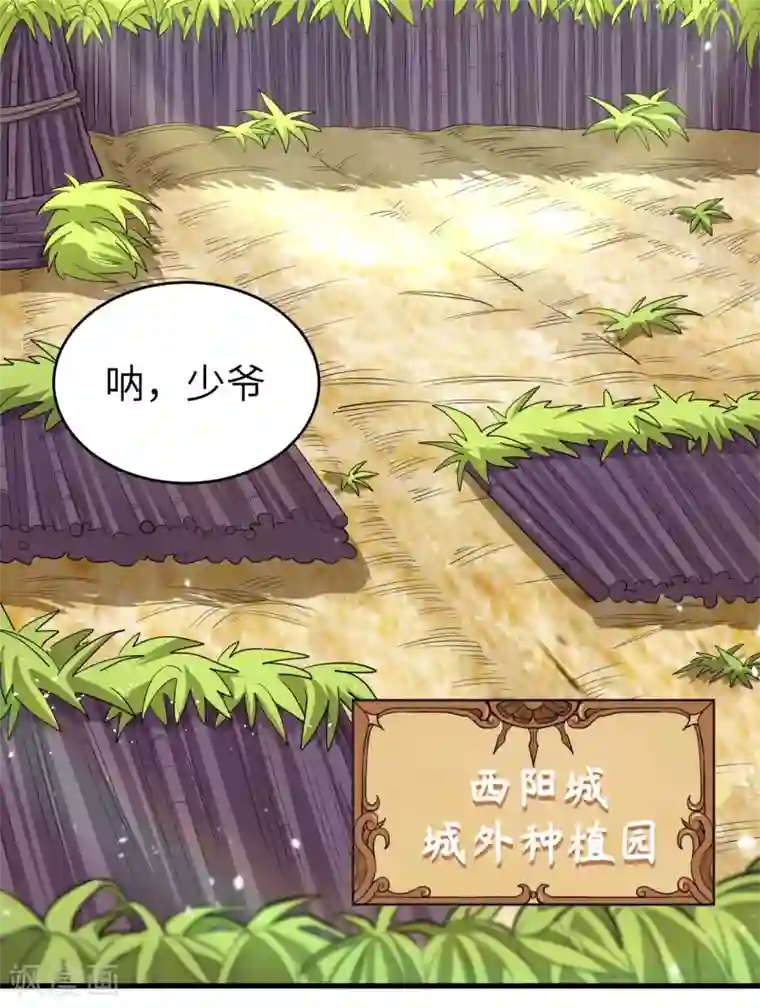 从今天开始当城主第212话