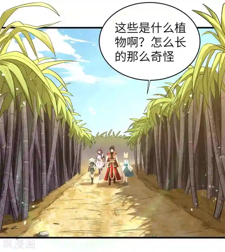 从今天开始当城主第212话