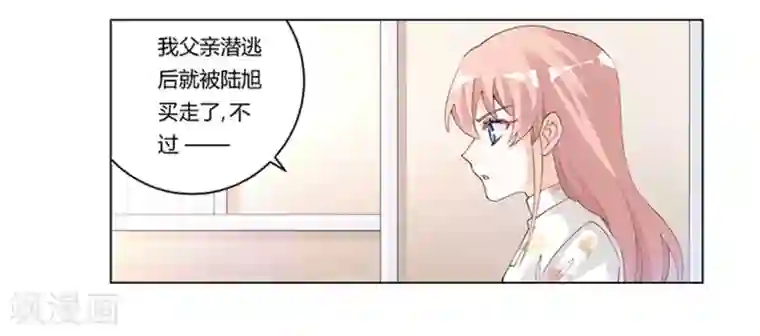 总裁的天价萌妻第220话 重回老宅