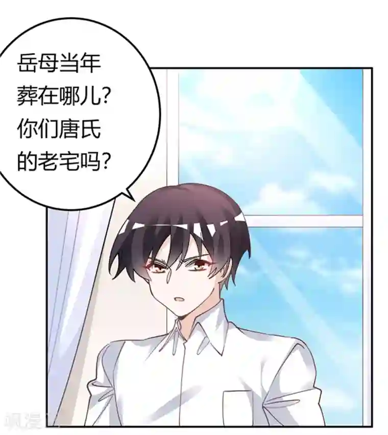 总裁的天价萌妻第220话 重回老宅