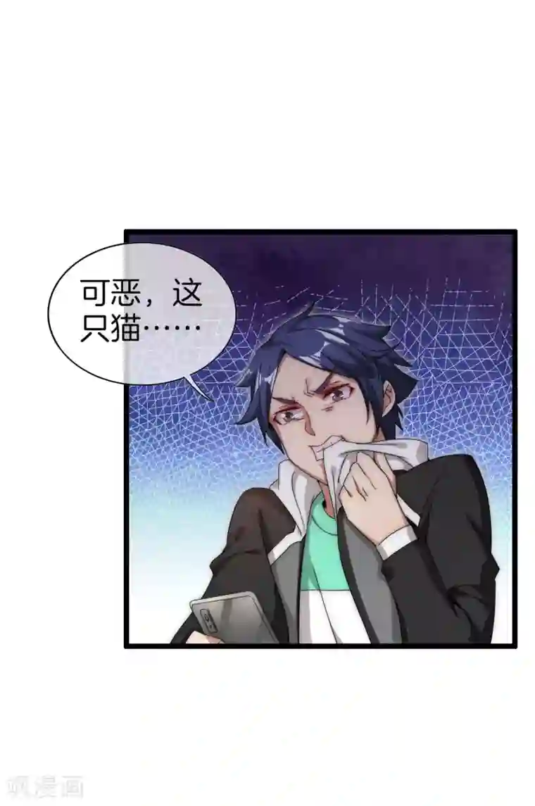 今天开始当首富第125话 史上超豪华养猫团队？！