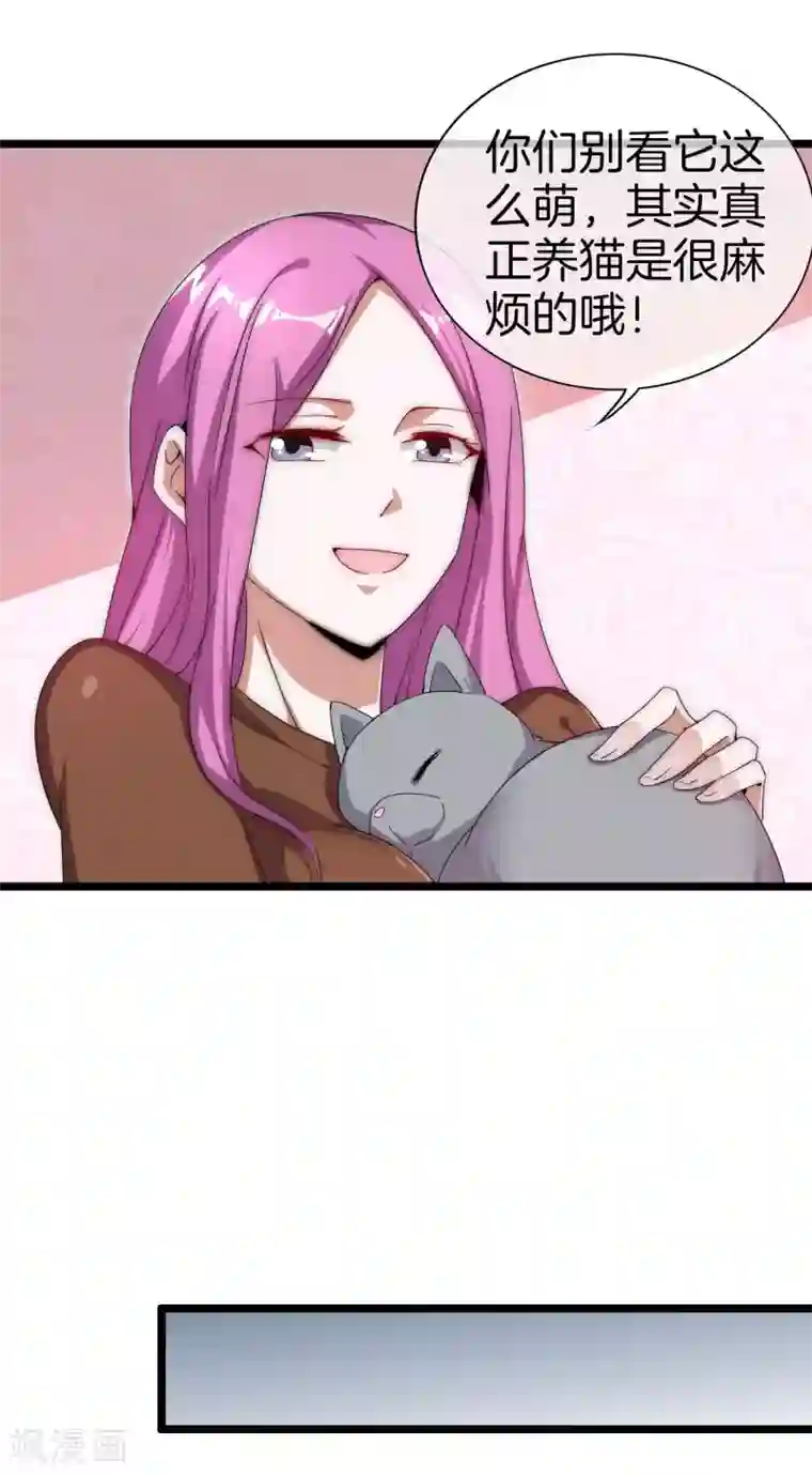 今天开始当首富第125话 史上超豪华养猫团队？！