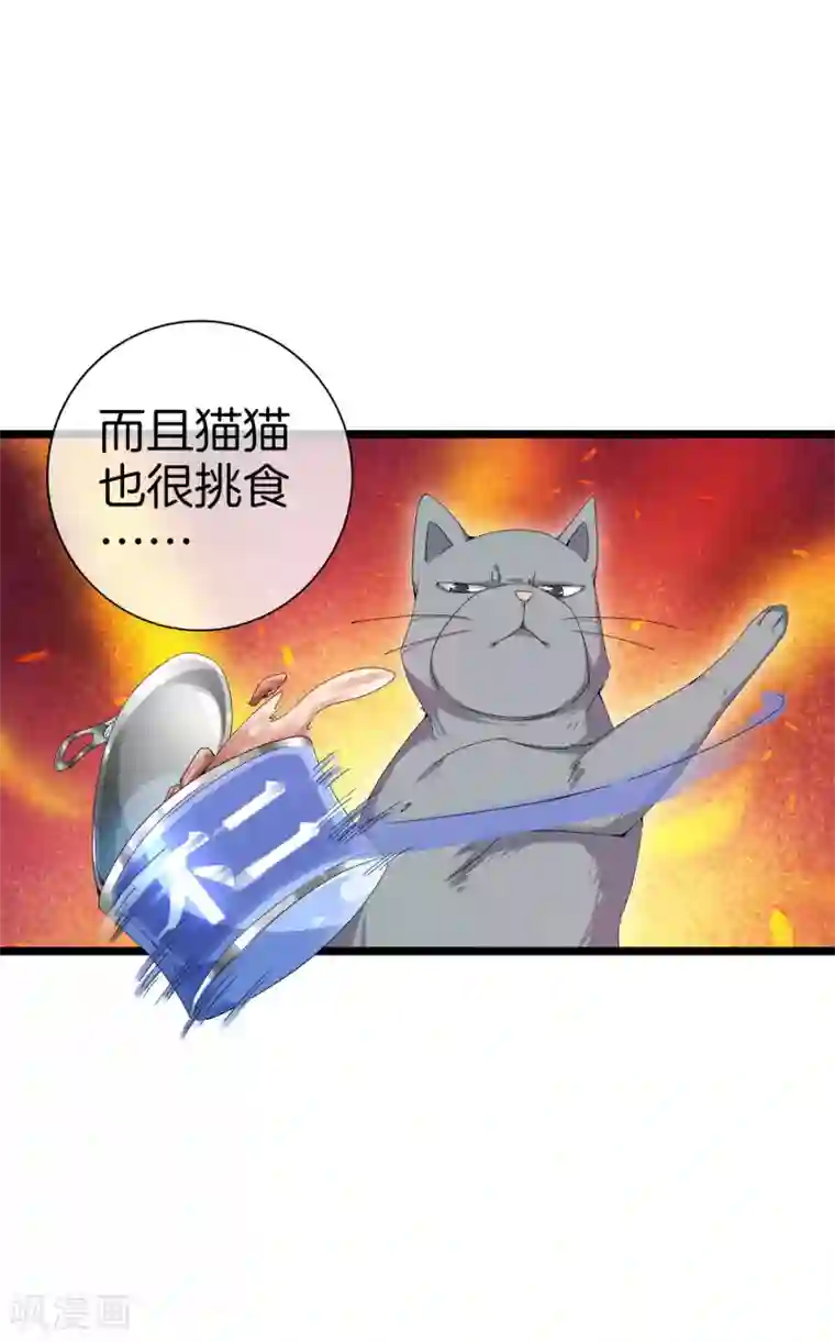 今天开始当首富第125话 史上超豪华养猫团队？！