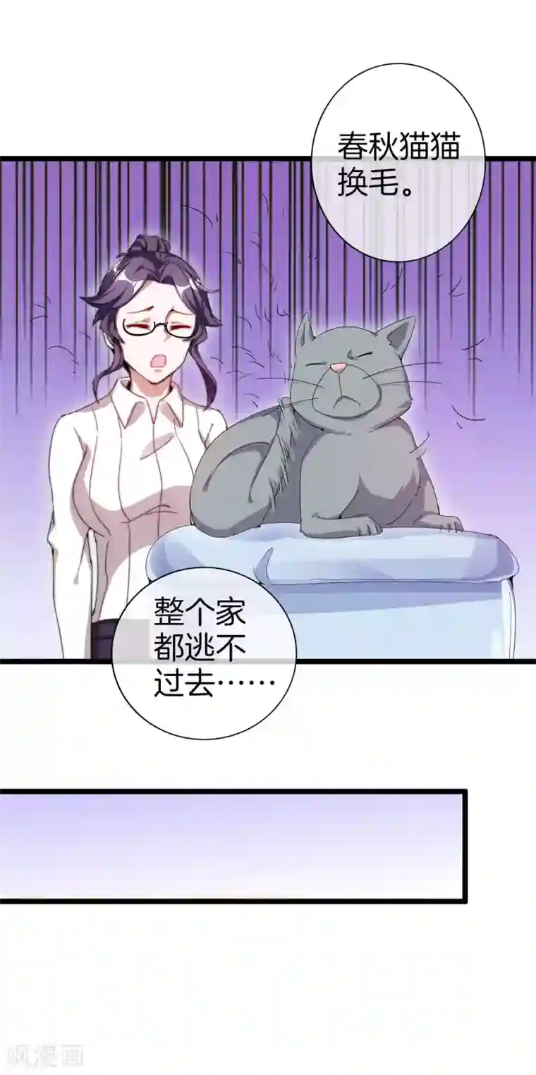 今天开始当首富第125话 史上超豪华养猫团队？！