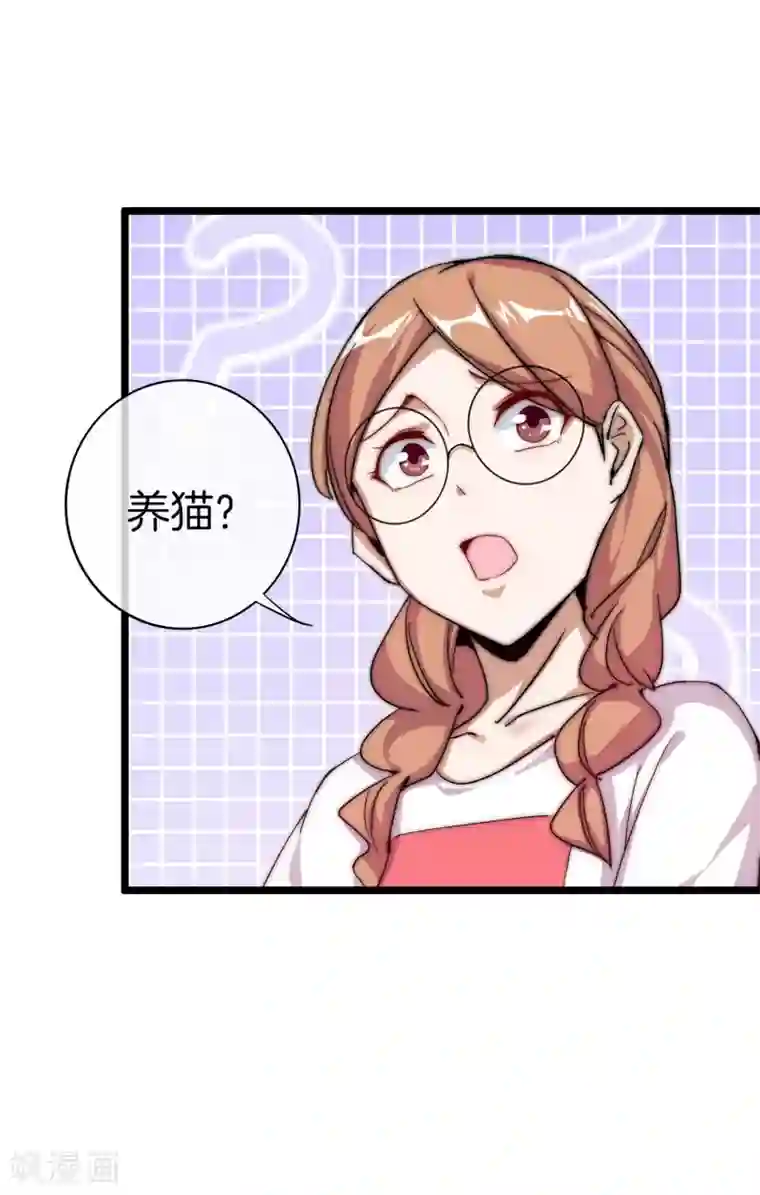 今天开始当首富第125话 史上超豪华养猫团队？！