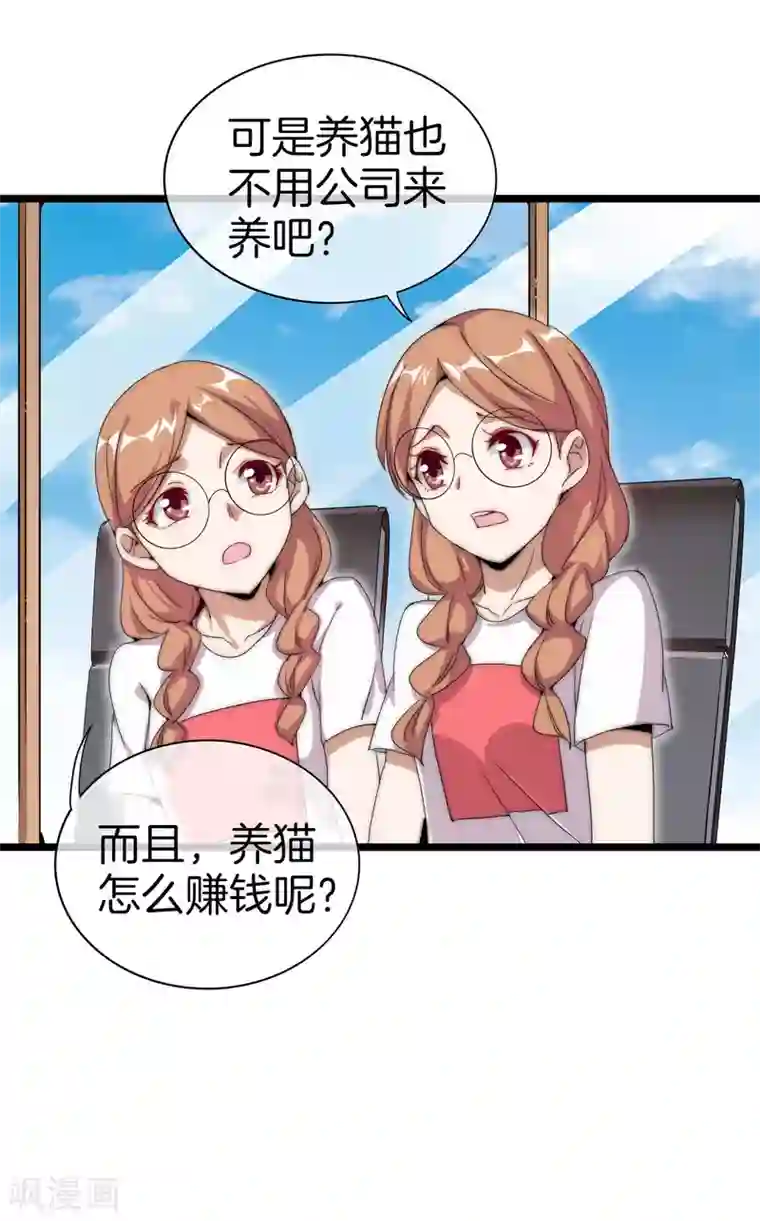 今天开始当首富第125话 史上超豪华养猫团队？！