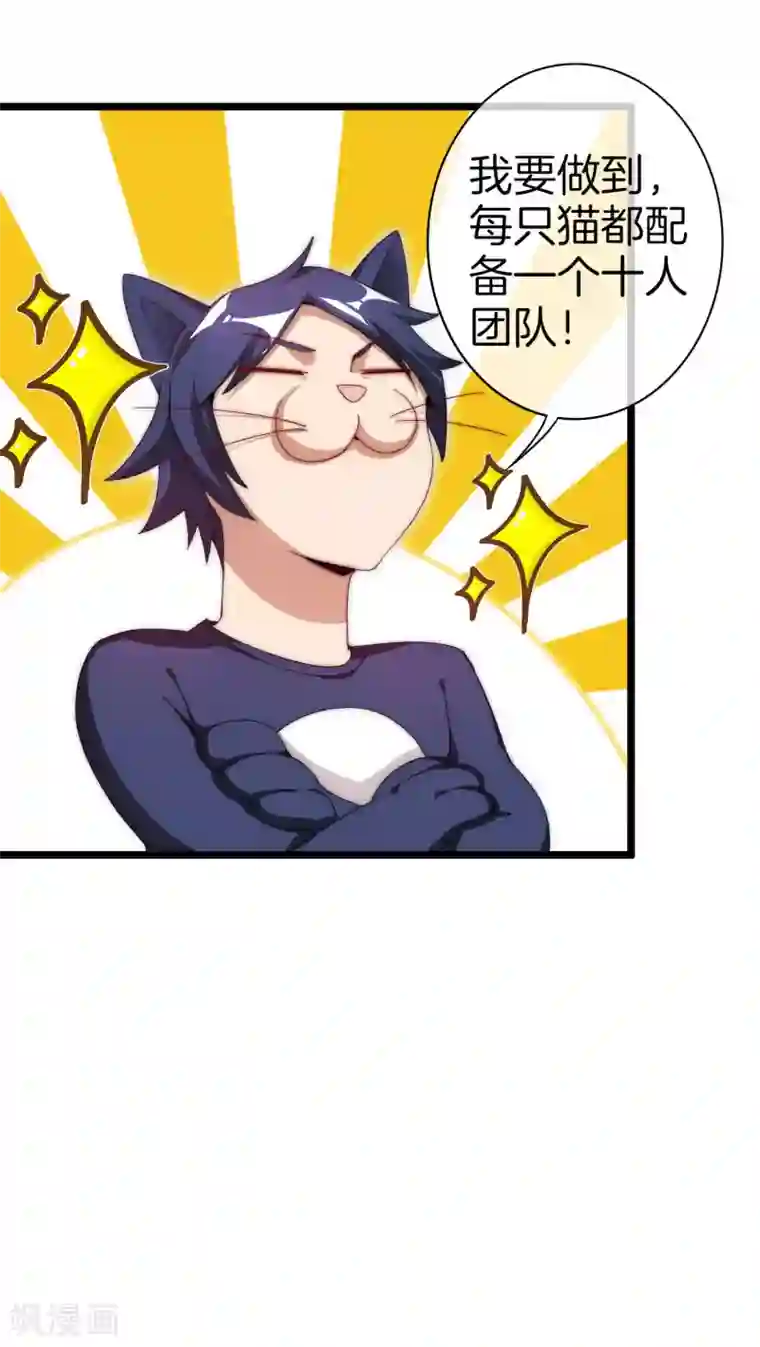 今天开始当首富第125话 史上超豪华养猫团队？！